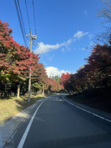 紅葉ドライブ～5日目～