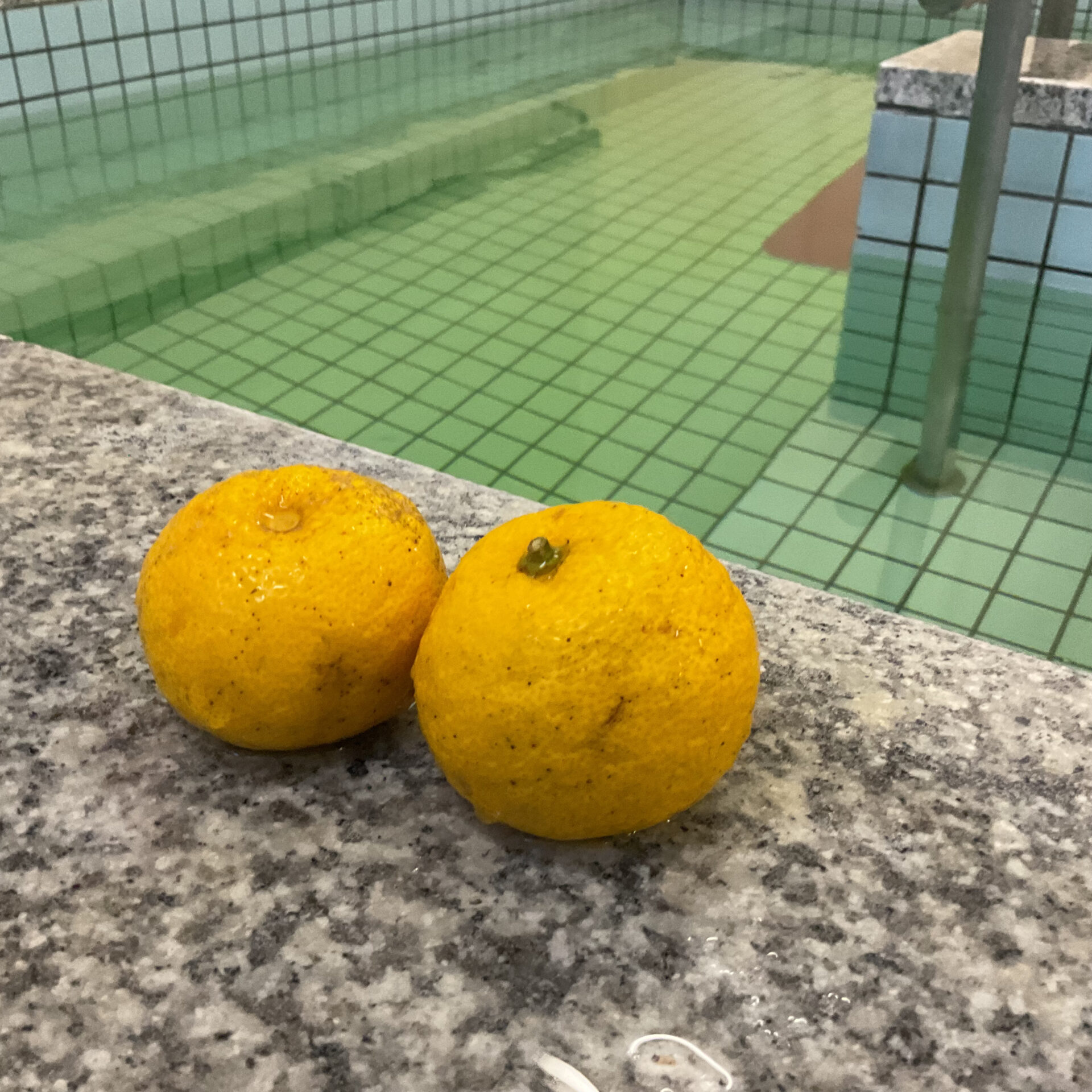「ゆず湯」始めました!